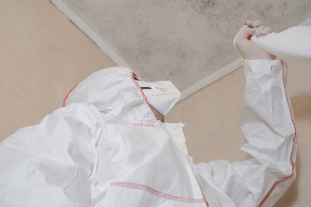 Best Local Mold Removal Service  in Atwood, KS